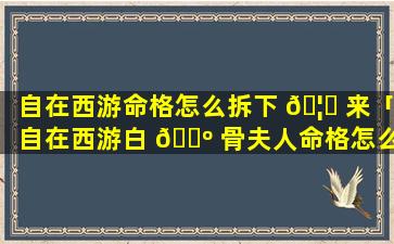 自在西游命格怎么拆下 🦆 来「自在西游白 🌺 骨夫人命格怎么选」